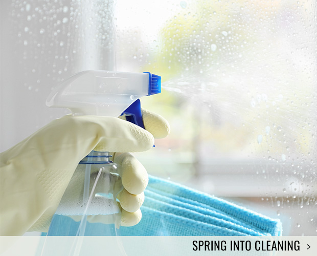 Spring Into Cleaning